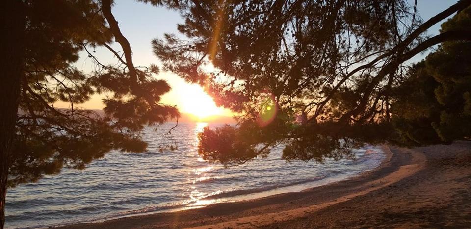 Apartmani Stipan Brela Εξωτερικό φωτογραφία